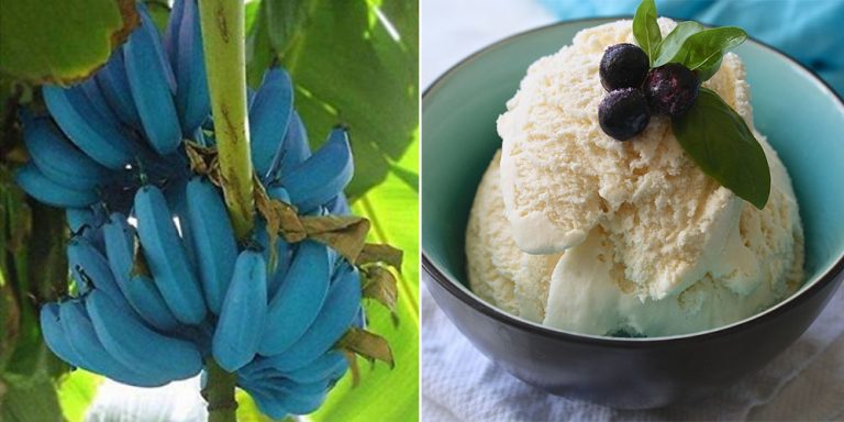 blue banana with ice cream