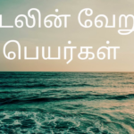 கடலுக்கு மாற்று பெயர் என்ன