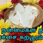 பச்சை கற்பூரத்தின் பயன்கள்