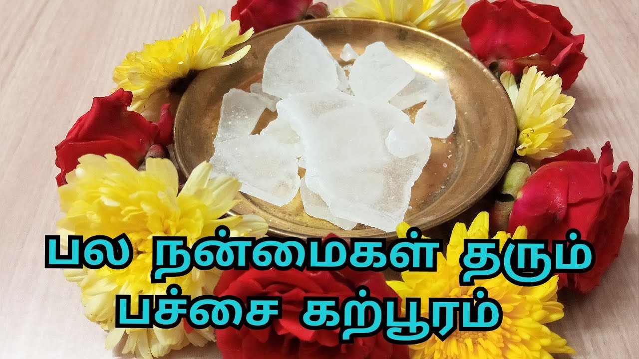 பச்சை கற்பூரத்தின் பயன்கள்