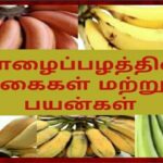 வாழைப்பழ வகைகள் தமிழில்