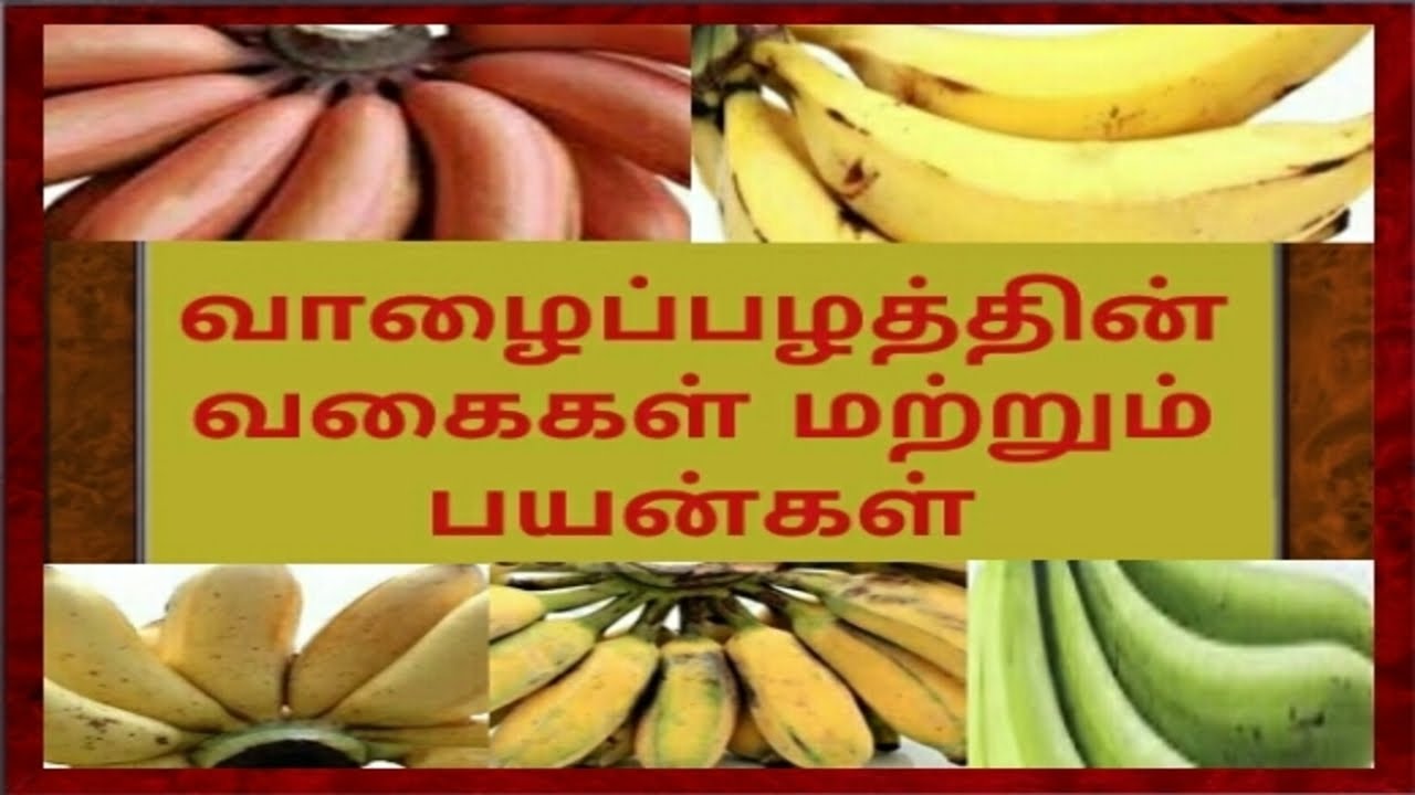 வாழைப்பழ வகைகள் தமிழில்