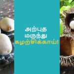 தமிழில் கல்லீரல் பிரச்சனை அறிகுறிகள்-liver problem symptoms in tamil