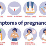 pregnancy symptoms 1