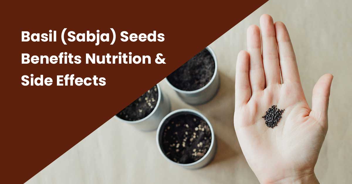 sabja seeds side effects,