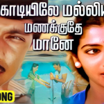 மனசிலாயோ – Manasilayo Song Lyrics