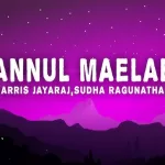 anal mele pani thuli lyrics