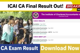 ICAI Result 2024